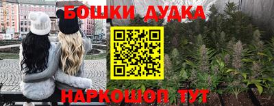крисы Беслан