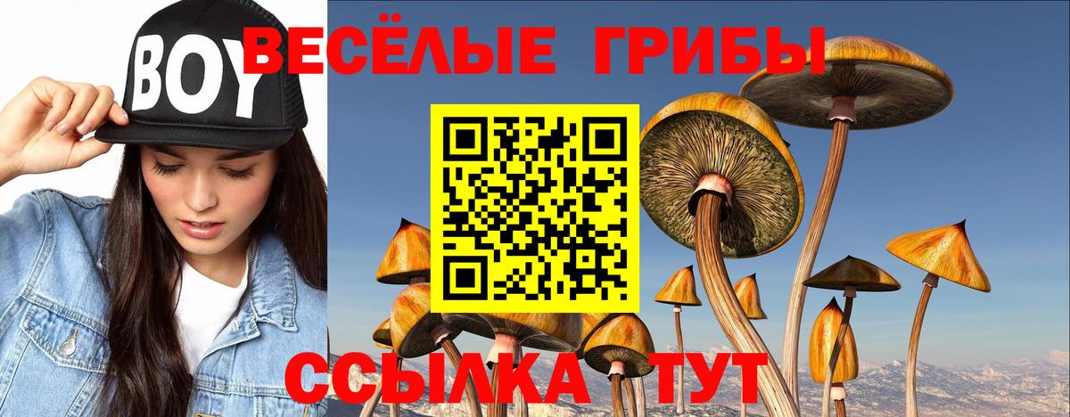 Каспийск  Псилоцибиновые грибы MAGIC MUSHROOMS  Вход с VPN 